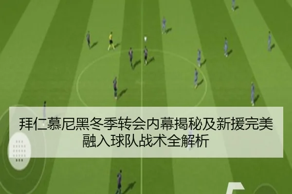 拜仁慕尼黑冬季转会内幕揭秘及新援完美融入球队战术全解析 - BANDAO SPORTS